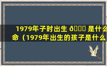 1979年子时出生 🐈 是什么命（1979年出生的孩子是什么命）